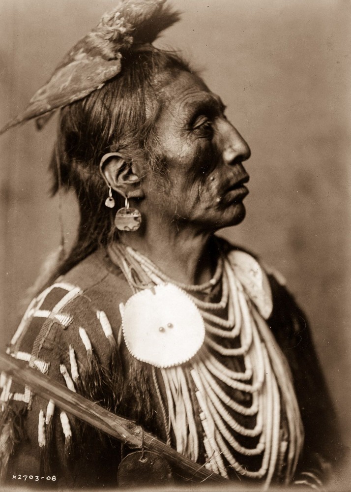 1908, Medicine Crow, of the Apsaroke tribe.