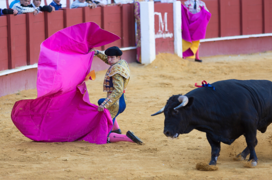 photo: quino al