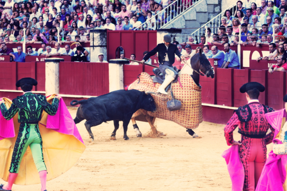 photo: quino al