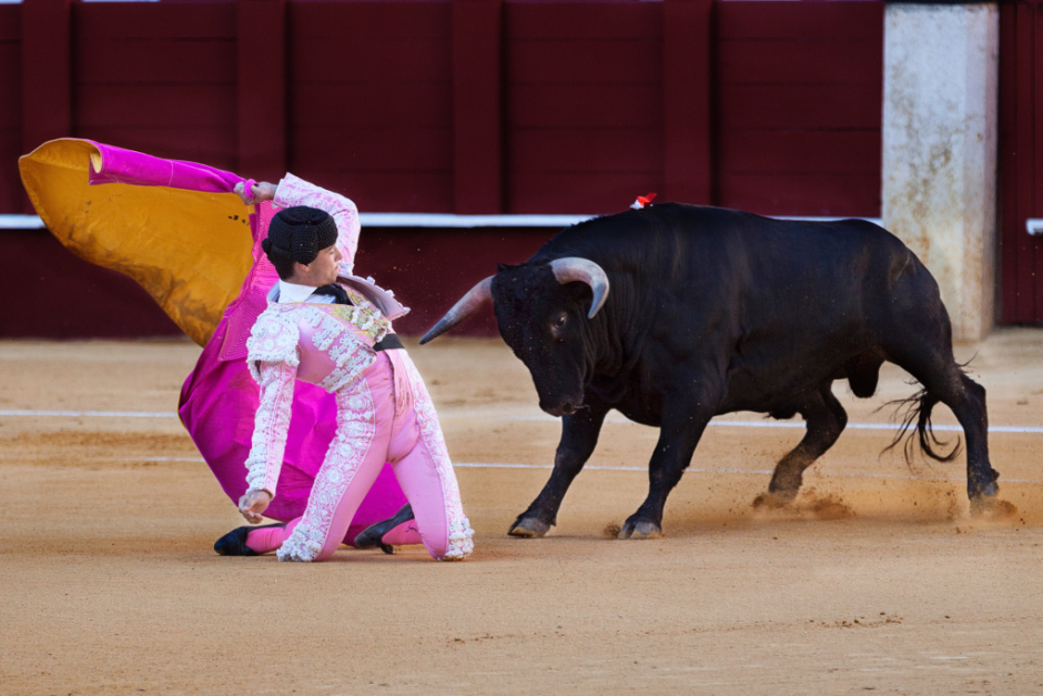 photo: quino al