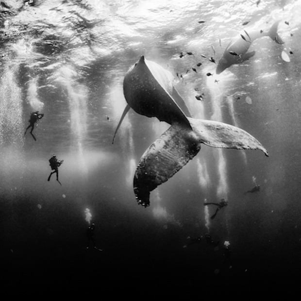 Winners of the 2015 National Geographic Traveler Photo Contest