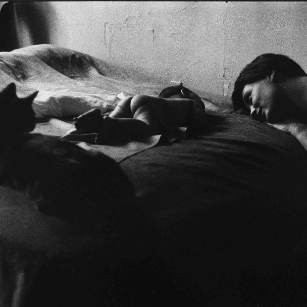 Neko tu nedostaje, drama u jednoj Porodičnoj sceni Eliota Ervita Neko tu nedostaje, drama u jednoj Porodičnoj sceni Eliota Ervita