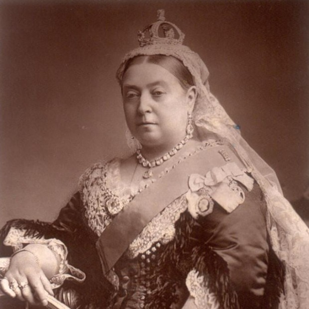 Oči u oči sa velikom kraljicom Oči u oči sa velikom kraljicom