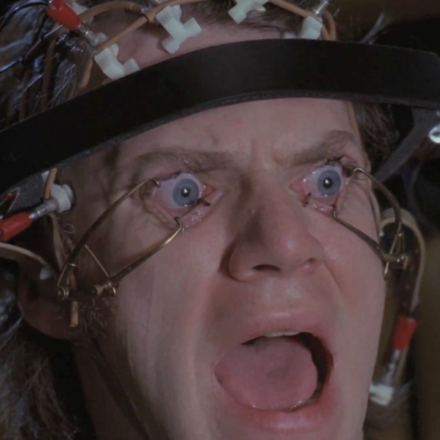 Тортура и истина Тортура и истина