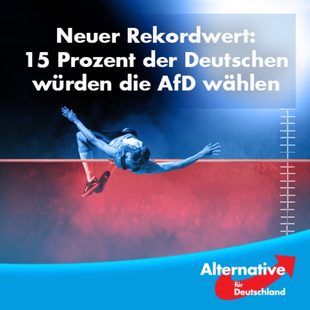 Bauk AFD nad nemačkim establišmentom Bauk AFD nad nemačkim establišmentom