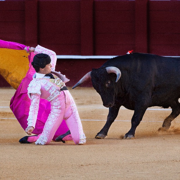 Biznis u politici Biznis u politici