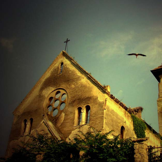 Други живот Клауса Брахта Други живот Клауса Брахта