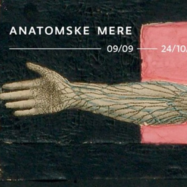 Izložba "Anatomske mere"