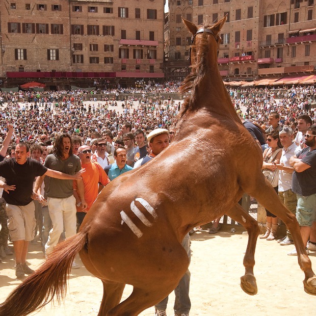 7 veličanstvenih: Palio