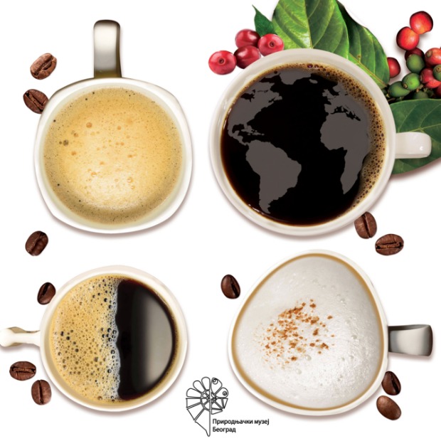 Kafa, uzbudljiva priča o dobrom ukusu